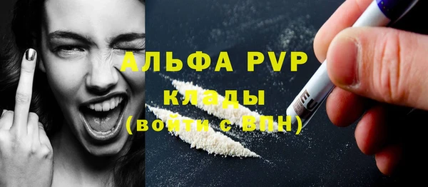 крисы Новозыбков