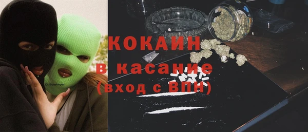 крисы Новозыбков
