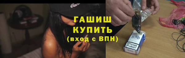 крисы Новозыбков