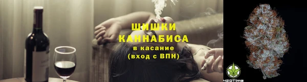 крисы Новозыбков