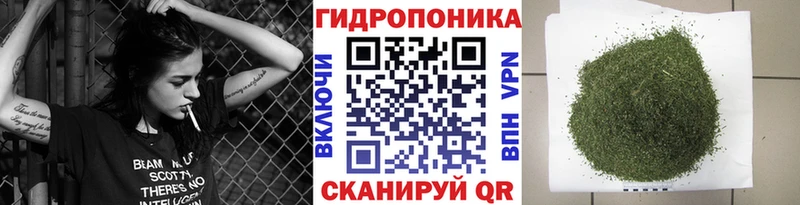 Каннабис сатива  Орлов 